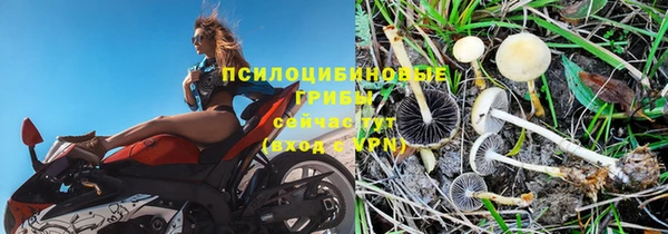 гидропоника Белоозёрский